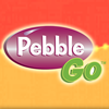 Pebble GO